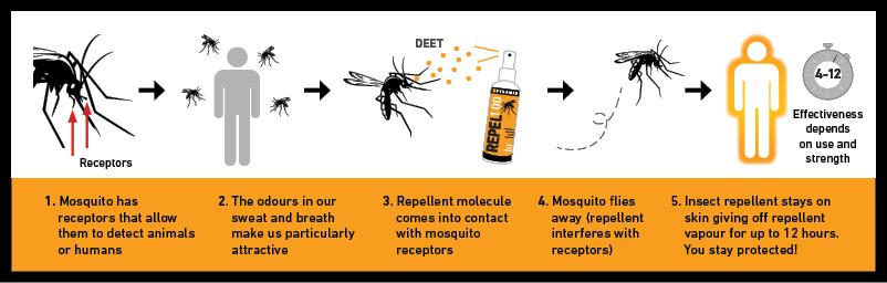 mosquito-repellent-homemade-homemade-mosquito-spray-mosquito-spray